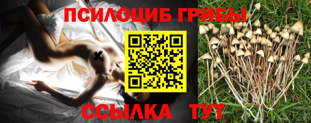Галлюциногенные грибы мухоморы Тавда