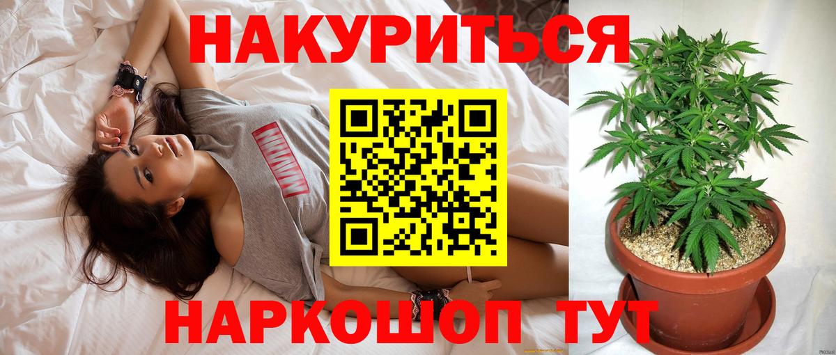 Бошки Шишки ГИДРОПОН  Бошки Шишки VHQ  Тавда  Канабис индика  Вход с VPN 